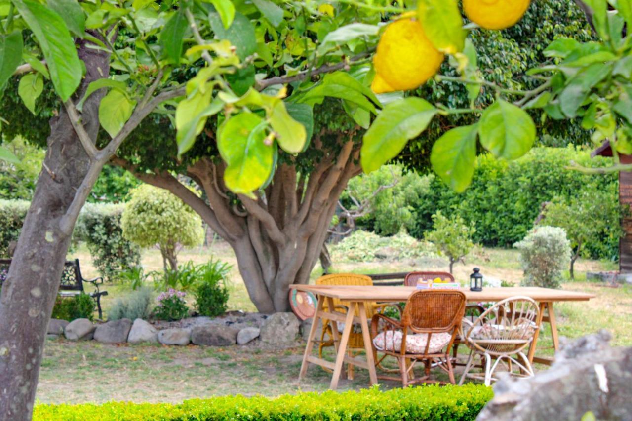 La Casa Di Lina - Capo D'Orlando, Casa Con Ampio Giardino Vila Exterior foto