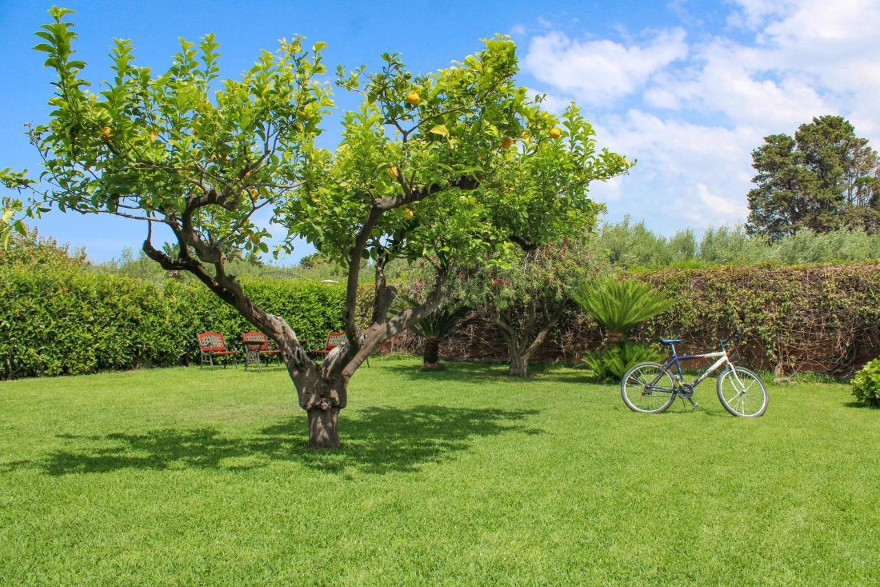 La Casa Di Lina - Capo D'Orlando, Casa Con Ampio Giardino Vila Exterior foto