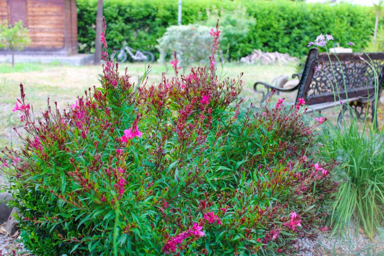 La Casa Di Lina - Capo D'Orlando, Casa Con Ampio Giardino Vila Exterior foto