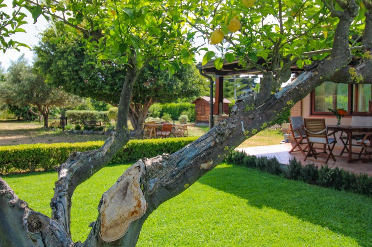 La Casa Di Lina - Capo D'Orlando, Casa Con Ampio Giardino Vila Exterior foto